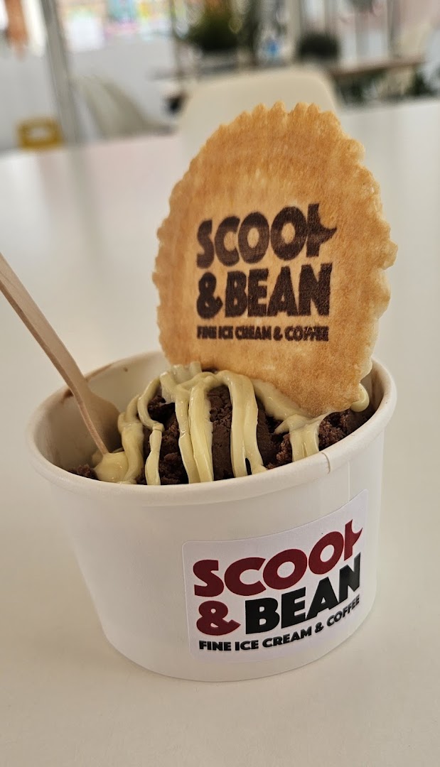 Scoop and Bean · Photos 4